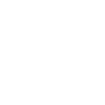 Brainnory logo